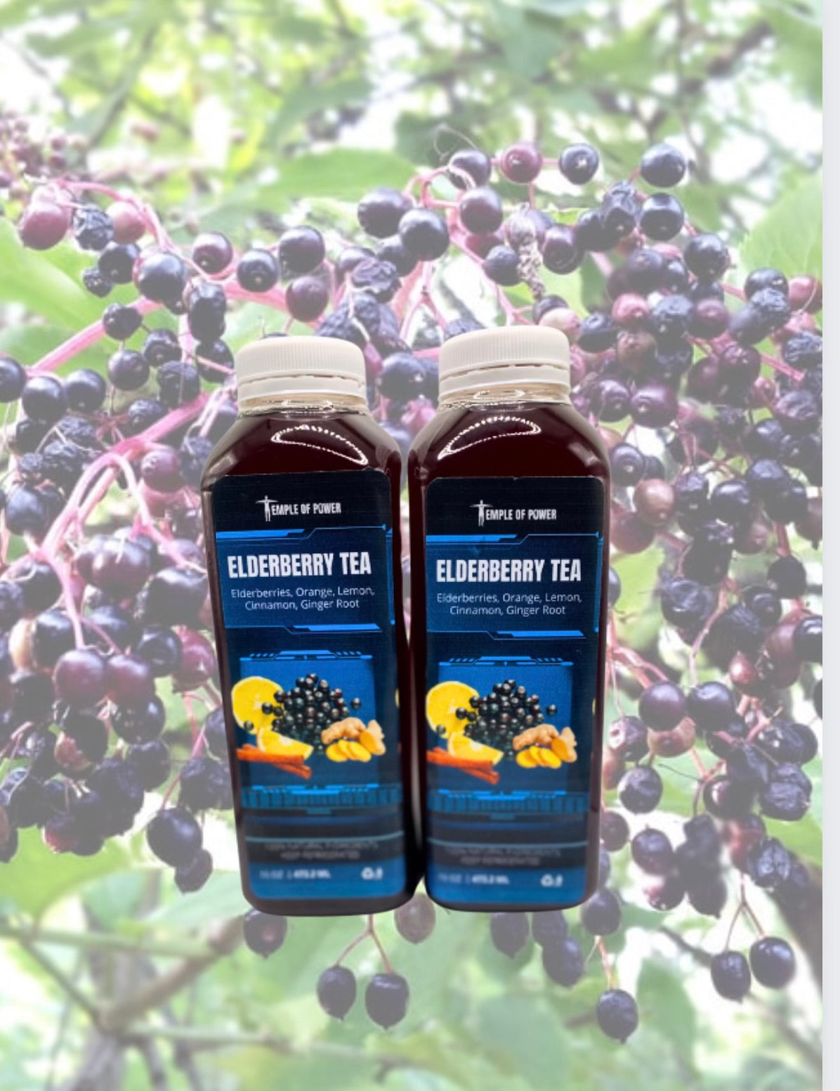 ELDERBERRY TEA (Single) 16oz - Temple Of Power